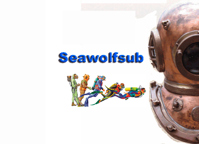 Importadora y Comercializadora Cristian Chappuzeau EIRL